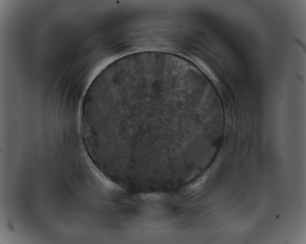 X0000095671246200801221158