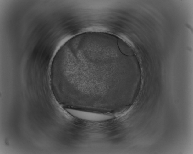 X0000095671248200801221158