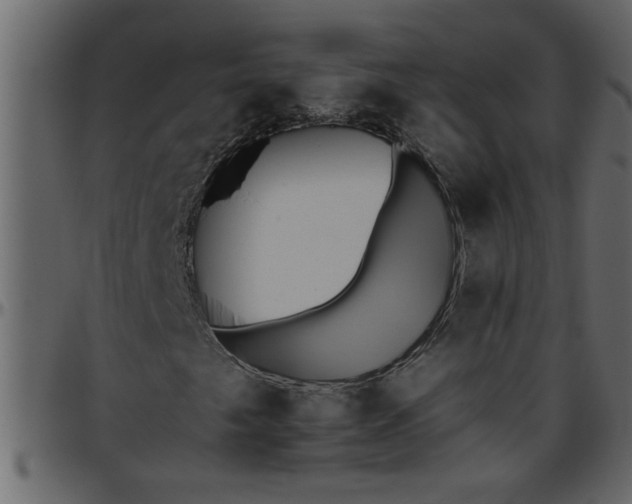 X0000095671249200801221157