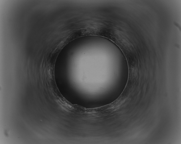 X0000095671250200801221157