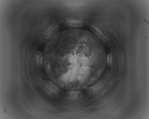 X0000095671251200801221157