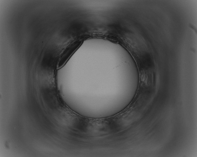 X0000095671252200801221157