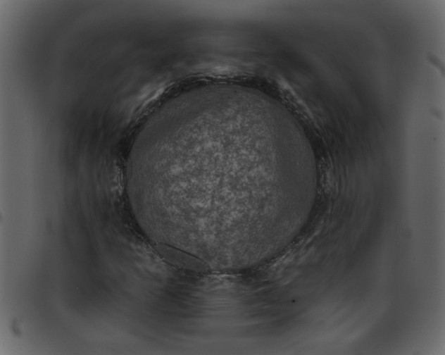 X0000095671253200801221157