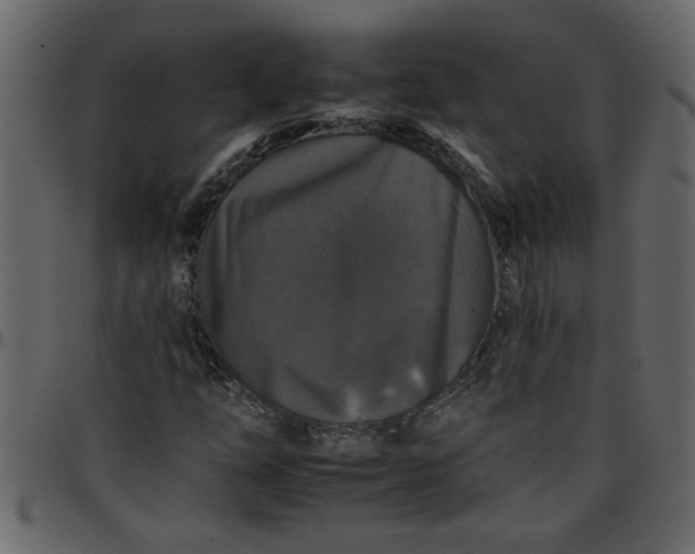 X0000095671254200801221157