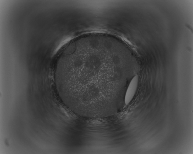 X0000095671255200801221157