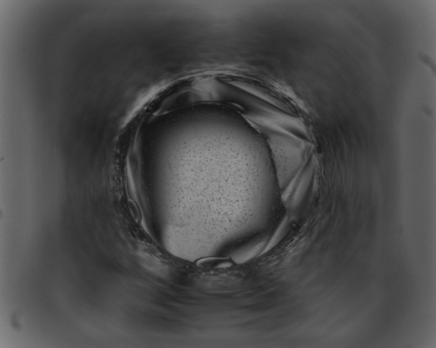 X0000095671256200801221157