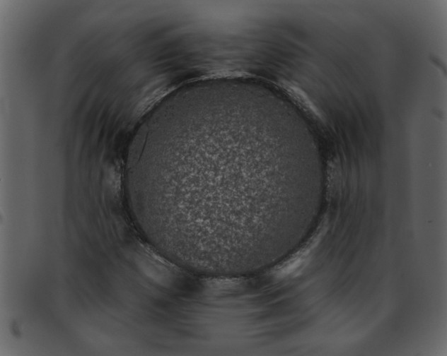 X0000095671257200801221157