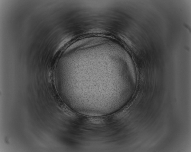 X0000095671258200801221157