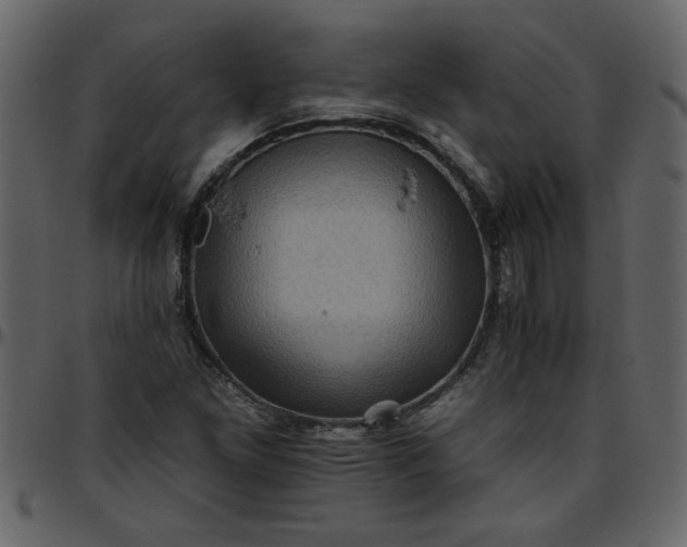 X0000095671261200801221157