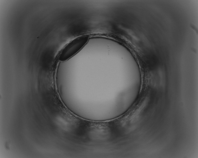 X0000095671262200801221157