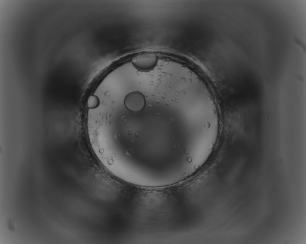 X0000095671263200801221157