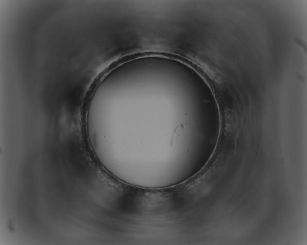 X0000095671264200801221157