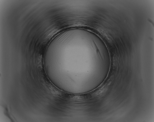 X0000095671265200801221157