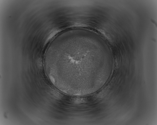 X0000095671266200801221157