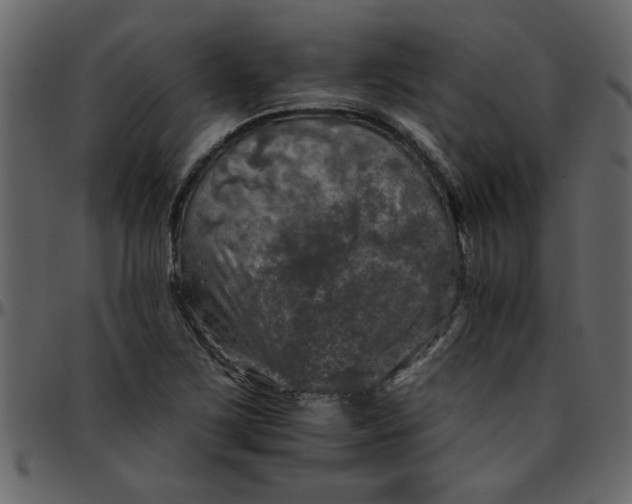 X0000095671267200801221157