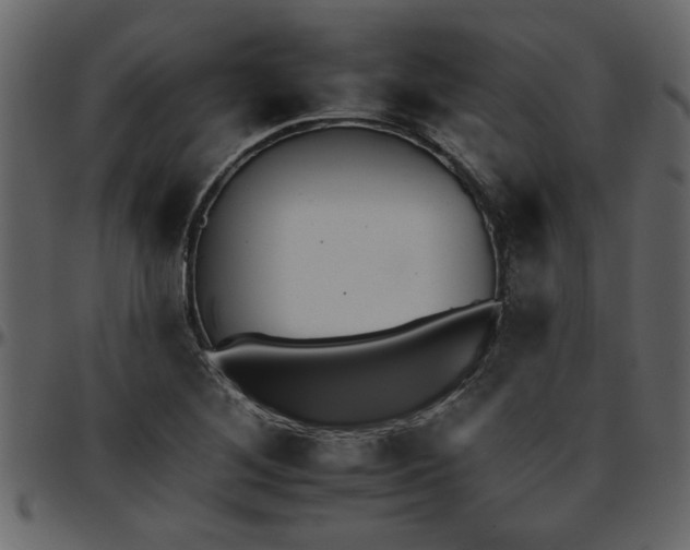 X0000095671268200801221157