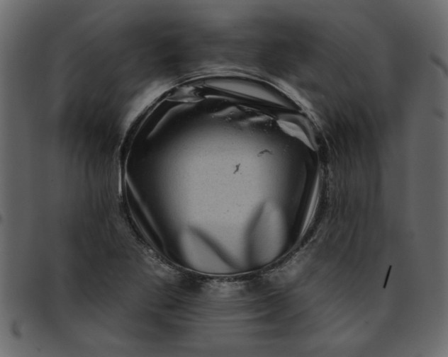 X0000095671269200801221157