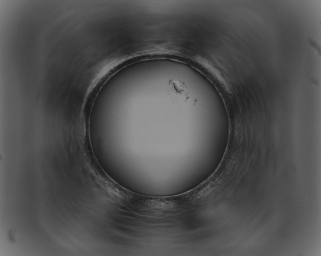 X0000095671270200801221157