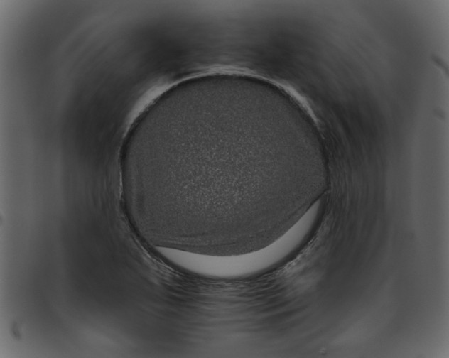 X0000095671271200801221157