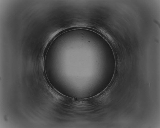 X0000095671272200801221157