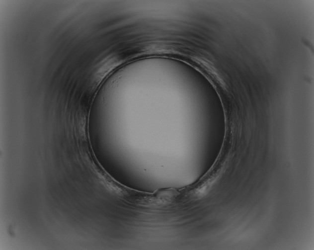 X0000095671273200801221157