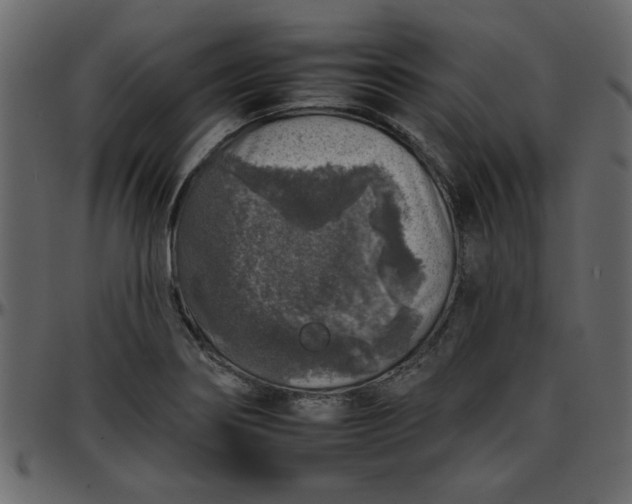 X0000095671274200801221157