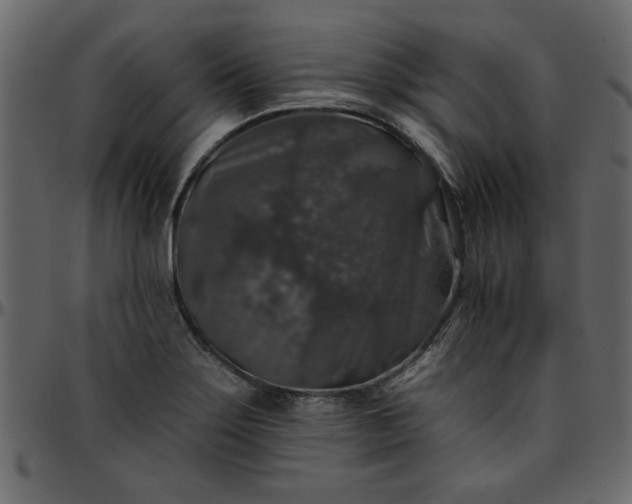 X0000095671275200801221157