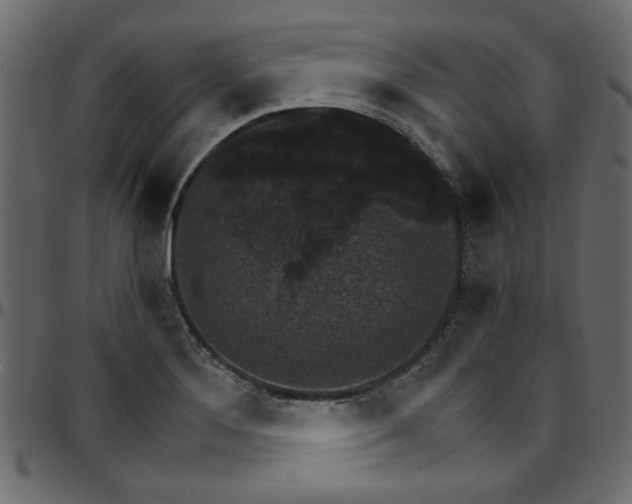 X0000095671276200801221157