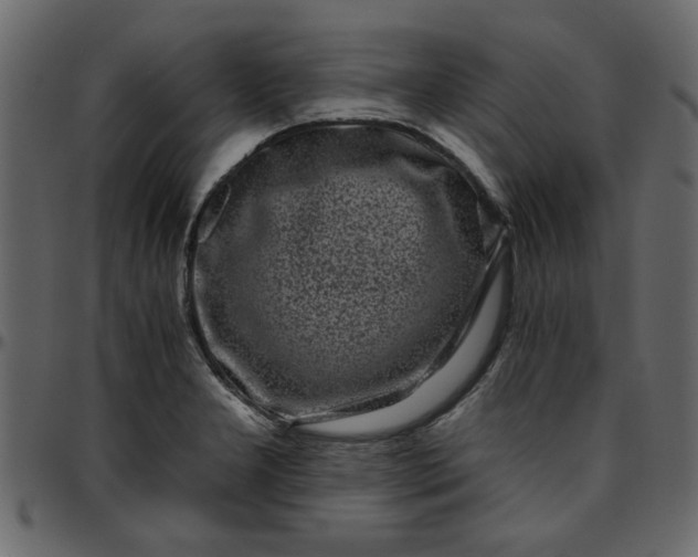 X0000095671277200801221157