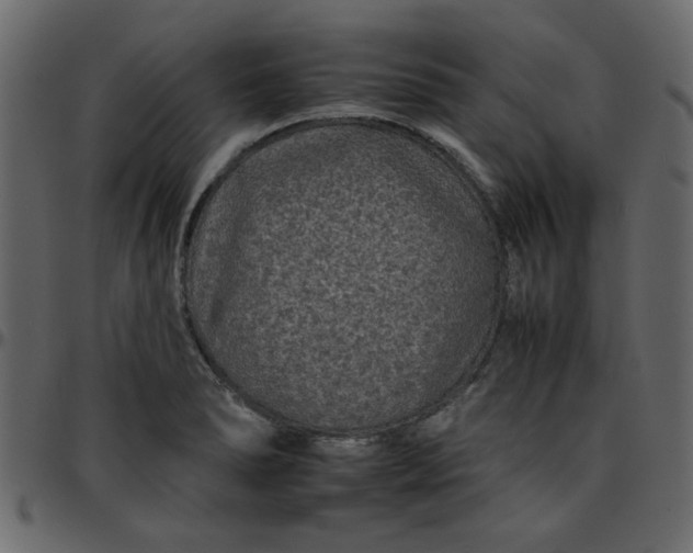 X0000095671278200801221157