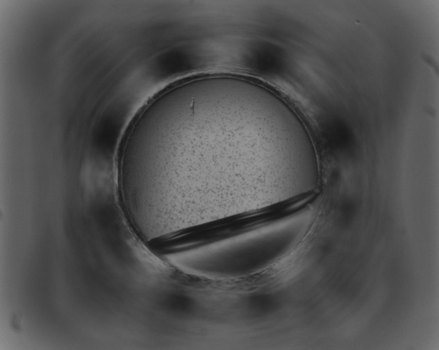 X0000095671280200801221156