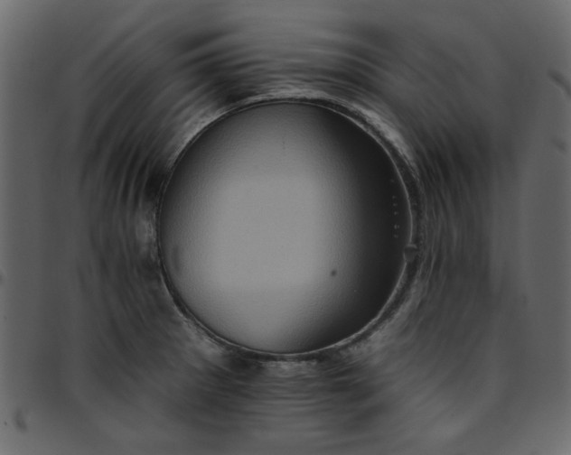 X0000095671281200801221156