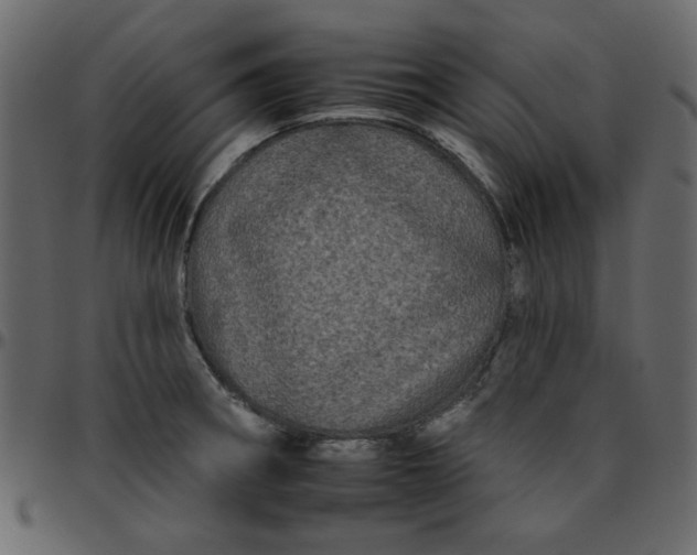 X0000095671282200801221156