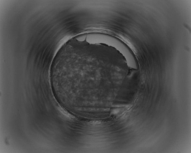 X0000095671283200801221156