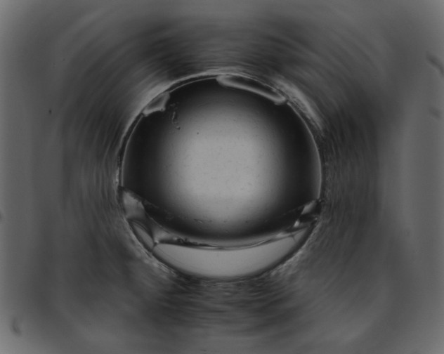 X0000095671284200801221156