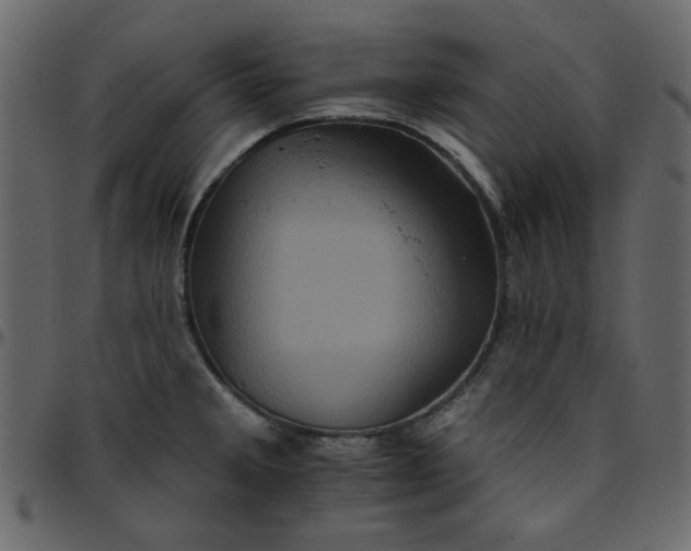 X0000095671285200801221156