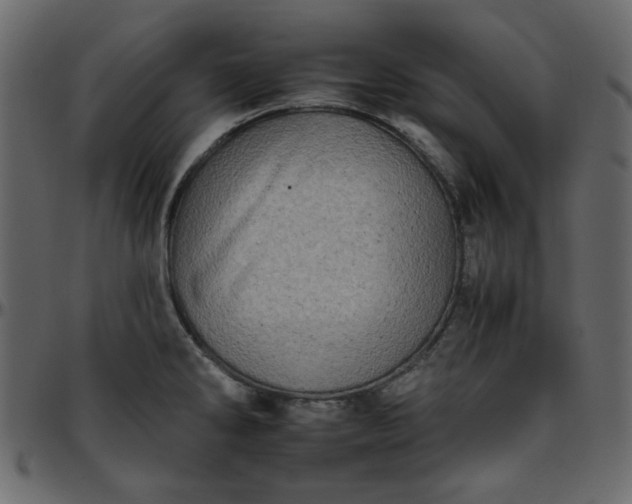 X0000095671286200801221156