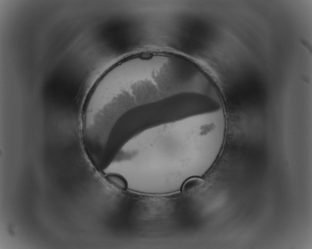 X0000095671287200801221156