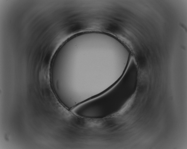 X0000095671288200801221156