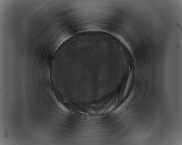 X0000095671289200801221156