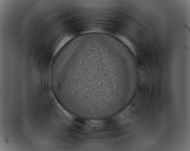 X0000095671290200801221156