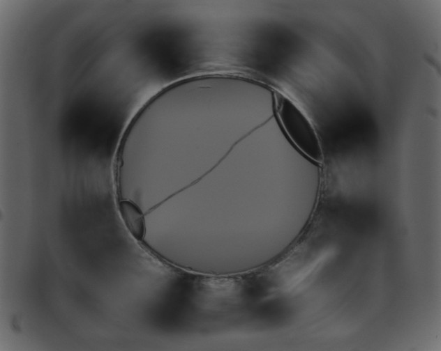 X0000095671291200801221156