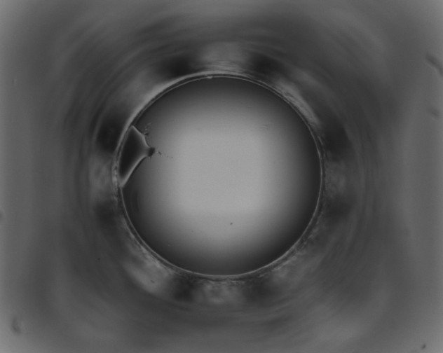 X0000095671292200801221156