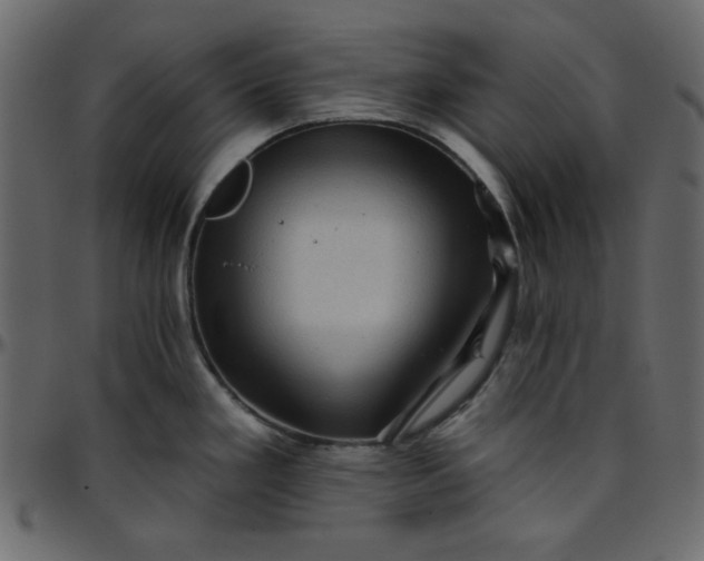 X0000095671293200801221156