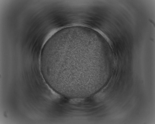 X0000095671294200801221156