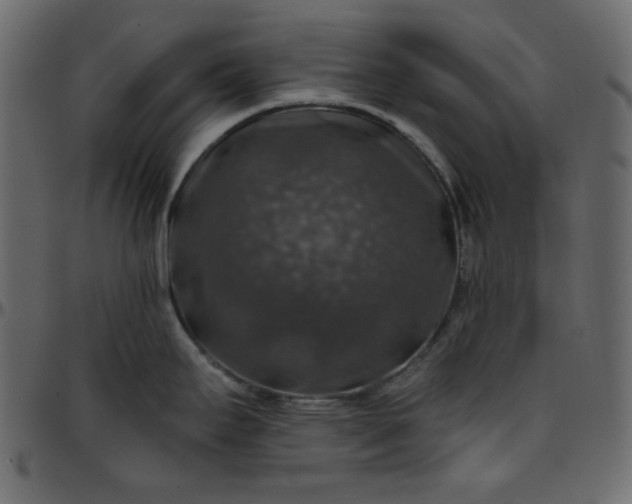 X0000095671295200801221156