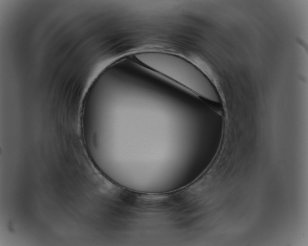 X0000095671296200801221156