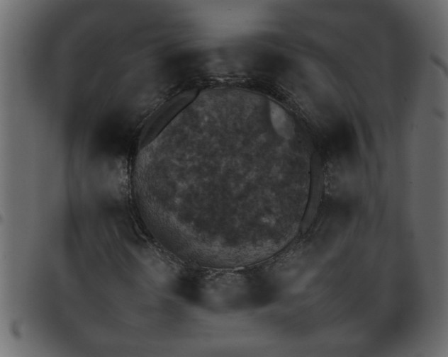 X0000095671298200801221155