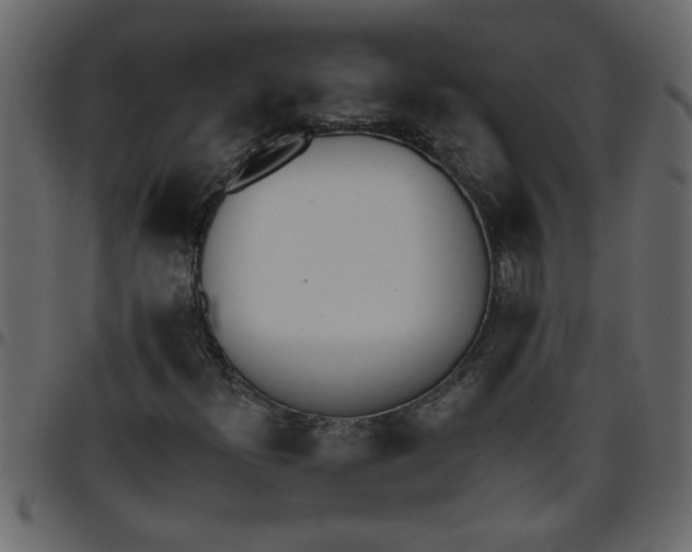 X0000095671300200801221155