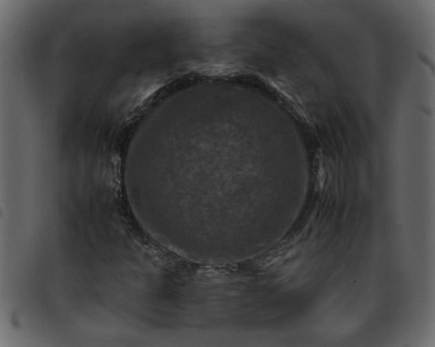 X0000095671301200801221155